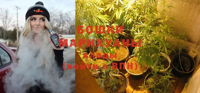 Конопля Ganja  наркотики  Жиздра 